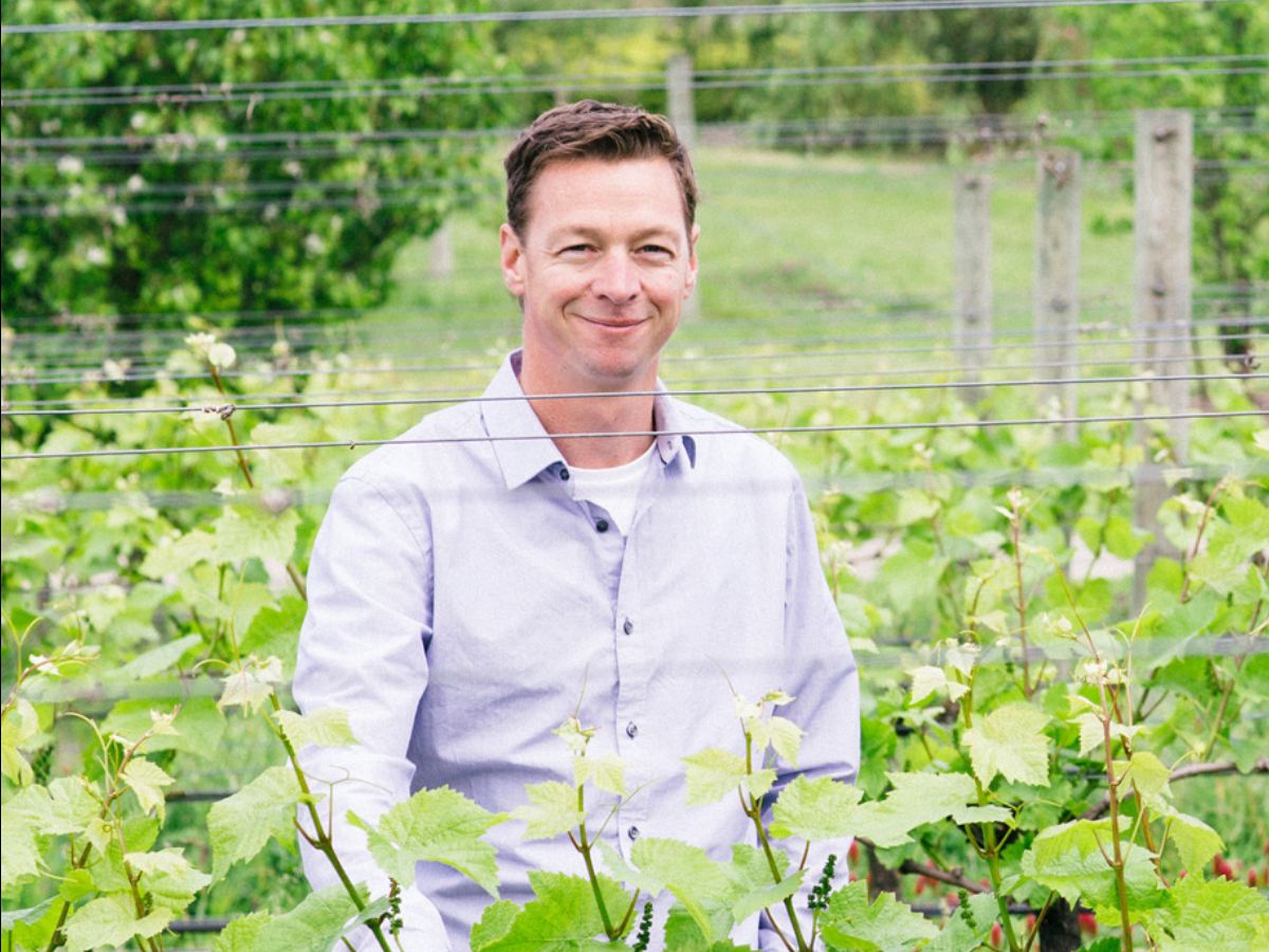 Vineyard manager in australia